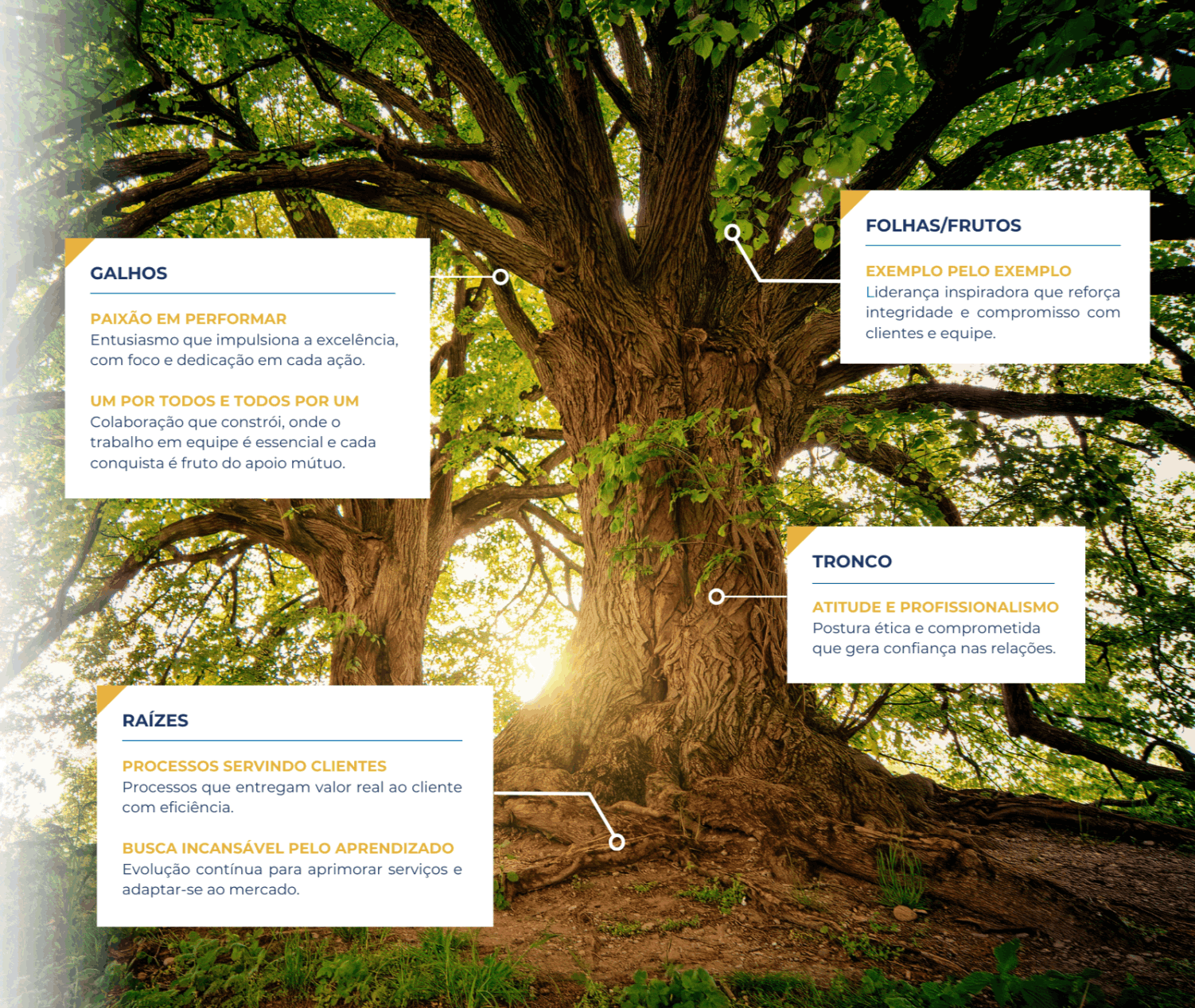 Planos de Saúde em São Paulo